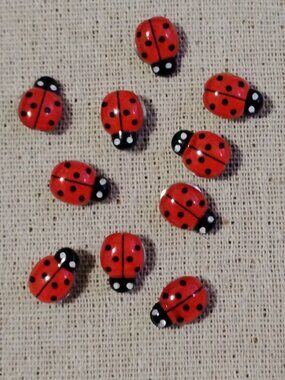 10 Pcs Small Cute Red & Black Lady Bugs Decorative Push Pins Bulletin Board Pins